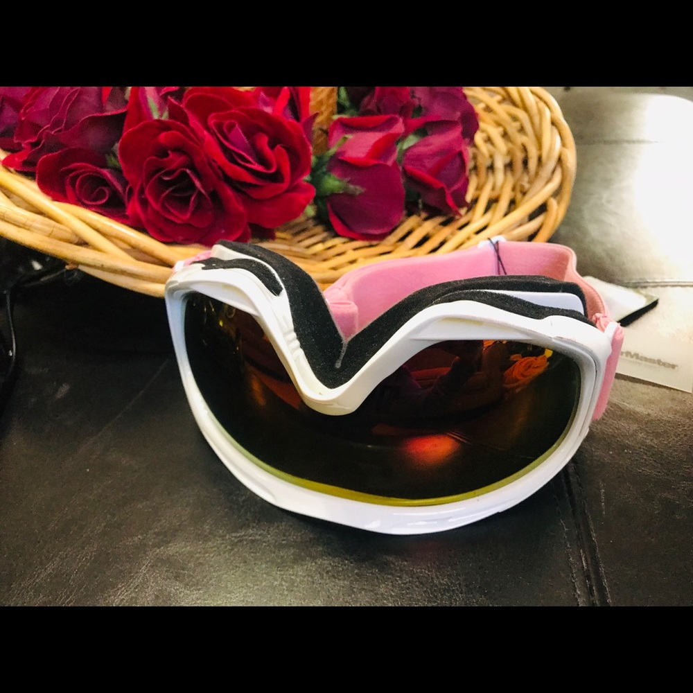 Ski glasses